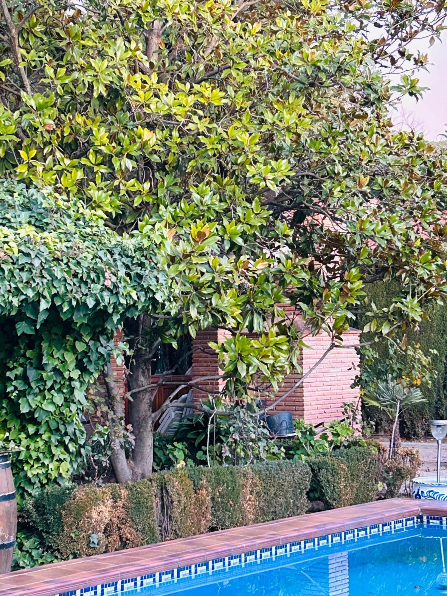 Casa Los Rosales อัลฟาการ์ ภายนอก รูปภาพ