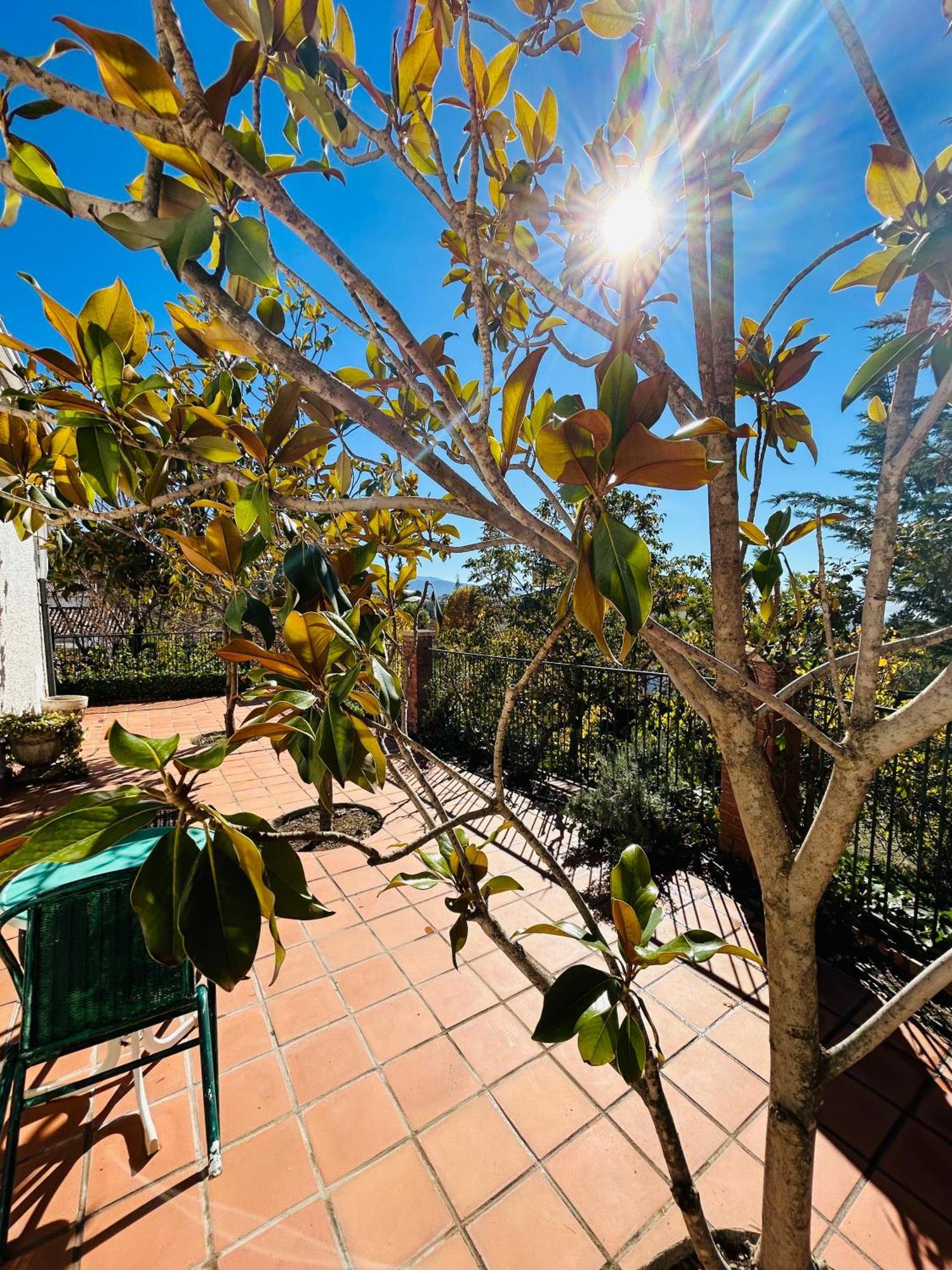 Casa Los Rosales อัลฟาการ์ ภายนอก รูปภาพ