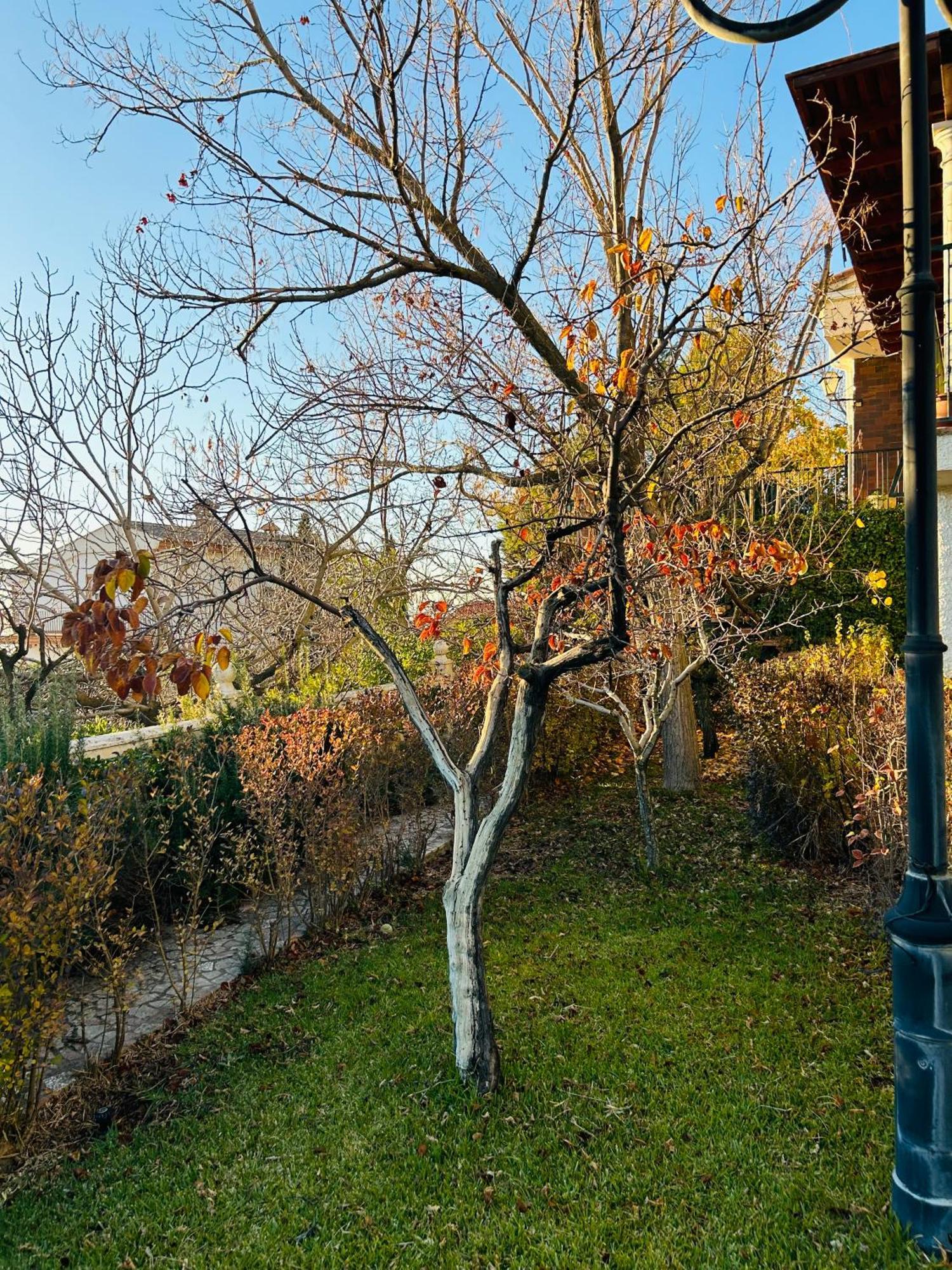 Casa Los Rosales อัลฟาการ์ ภายนอก รูปภาพ